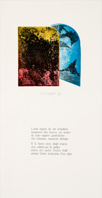 pagina interna